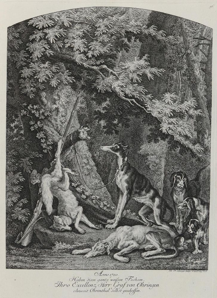 Große Abbildung Nr.1: 142-3141 Ridinger,E.J.: (Varia, Jagd, Füchse)