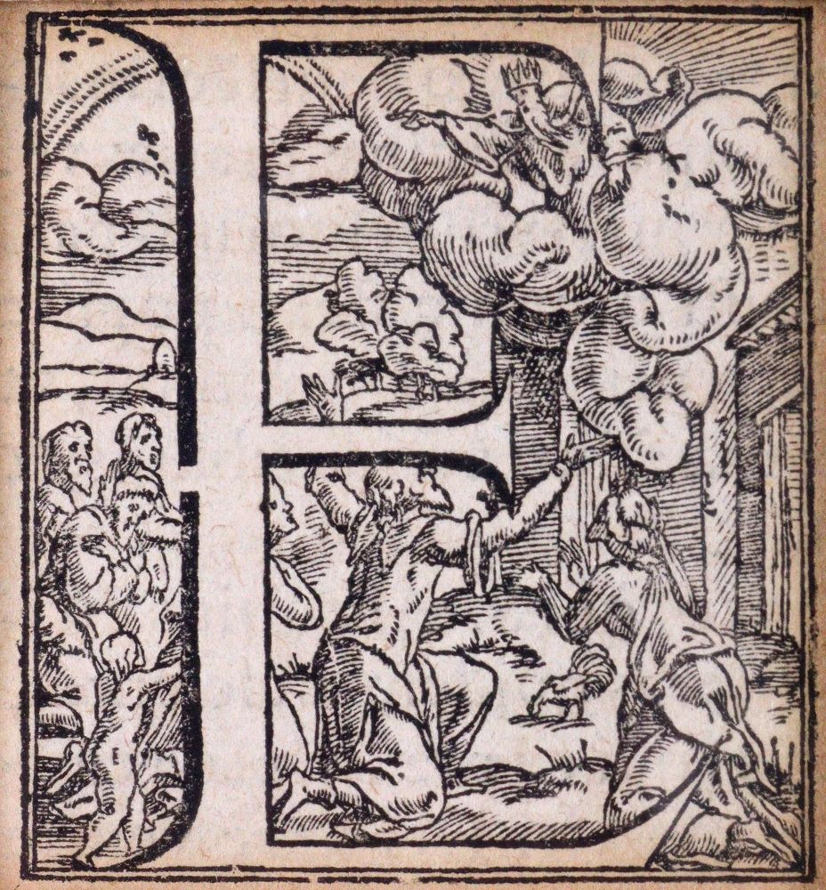 Große Abbildung Nr.5: 142-3156 Konvolut: (Varia)