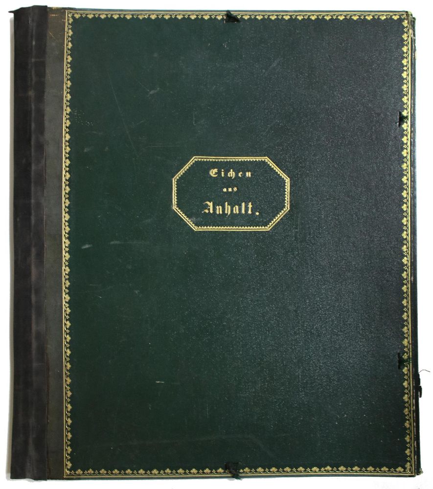 Große Abbildung Nr.1: 142-3159 Mappen.: (Varia)