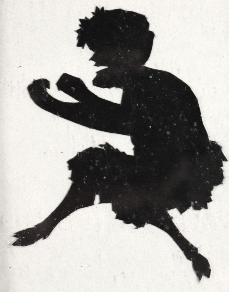 Große Abbildung Nr.3: 142-3196 Silhouetten.: (Varia)