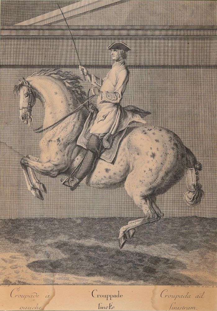 Große Abbildung Nr.1: 142-3199 Ridinger, Johann Elias (1698-1767).: (Varia, Sport, Reitsport)