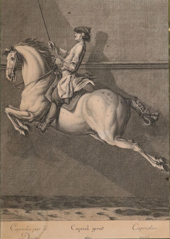 Große Abbildung Nr.2: 142-3199 Ridinger, Johann Elias (1698-1767).: (Varia, Sport, Reitsport)
