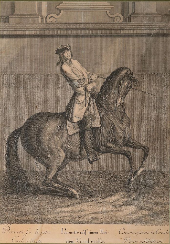 Große Abbildung Nr.3: 142-3199 Ridinger, Johann Elias (1698-1767).: (Varia, Sport, Reitsport)