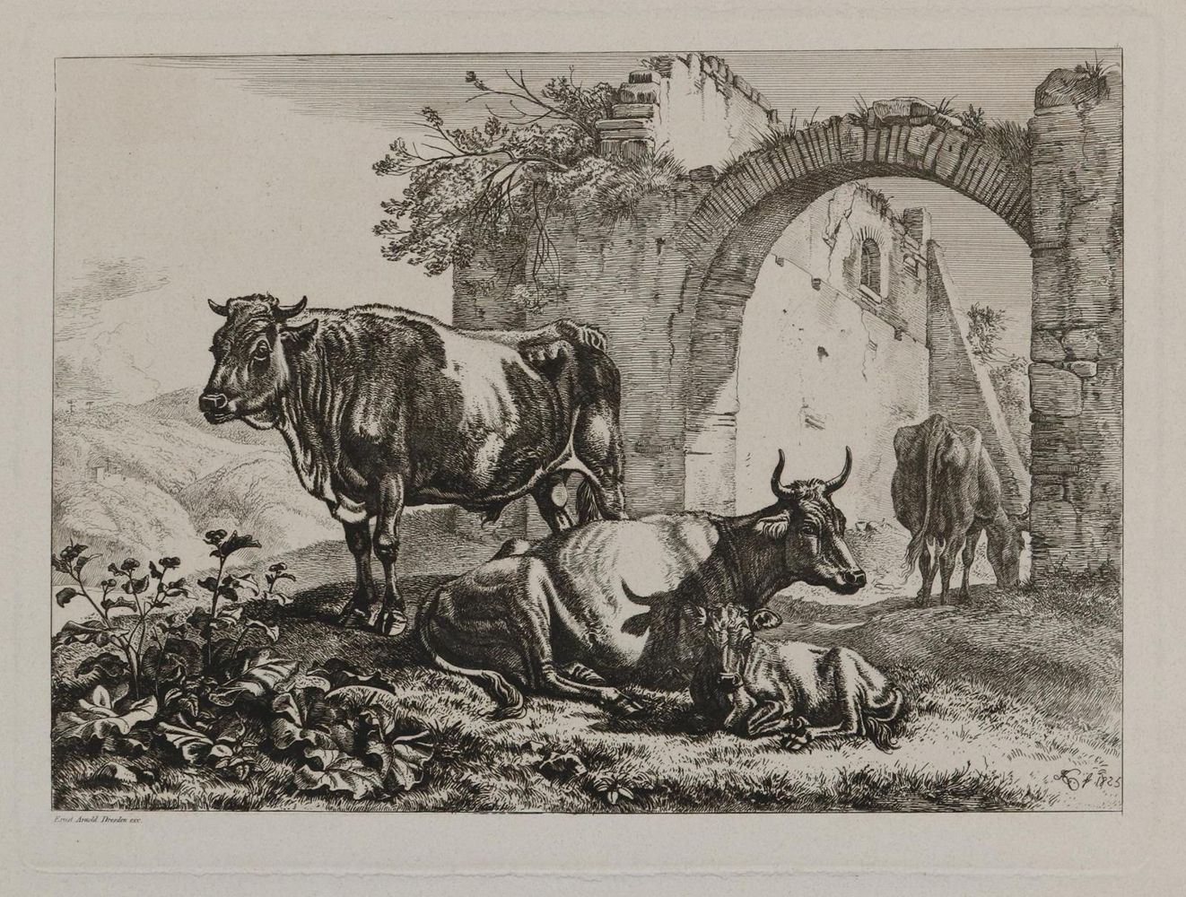 Große Abbildung Nr.1: 142-3212 Kühe.: (Varia, Zoologie)