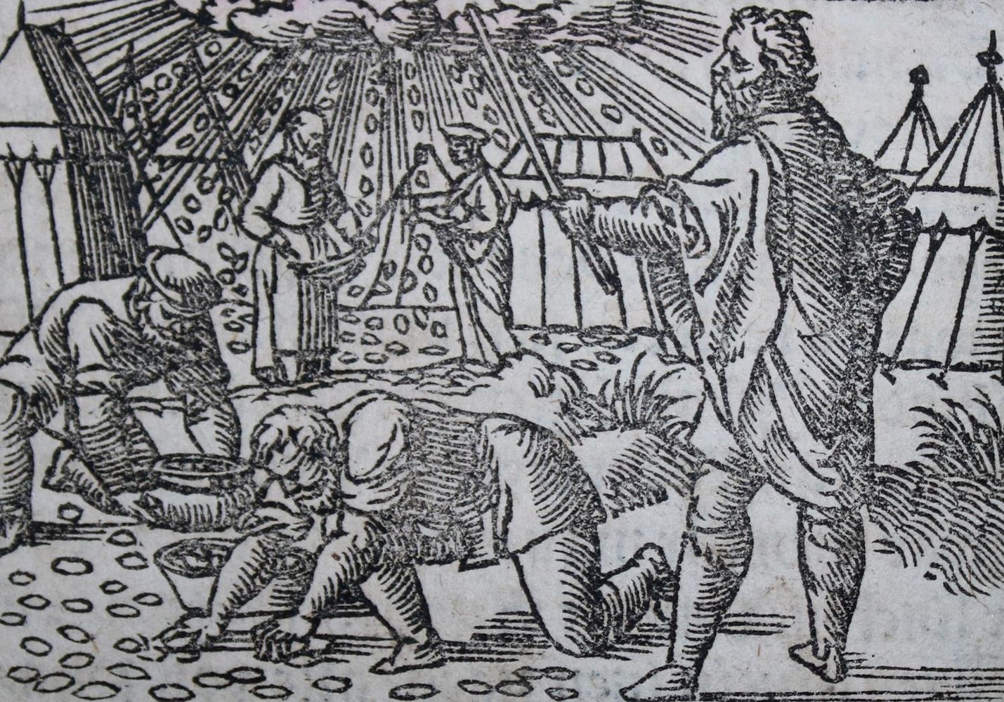 Große Abbildung Nr.2: 142-35 Biblia germanica.: (Bibeln)