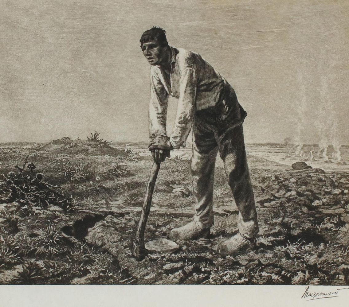 Große Abbildung Nr.1: 142-3545 Bracquemond, Felix: (Künstlergraphik)