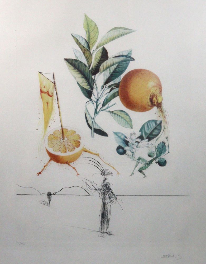 Große Abbildung Nr.1: 142-3599 Dali, Salvador: (Künstlergraphik)