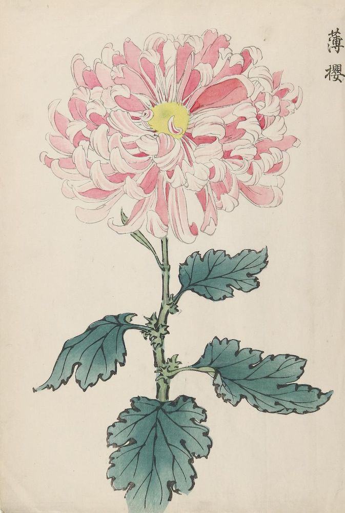 Große Abbildung Nr.1: 142-3808 Keika, Hasegawa: (Künstlergraphik, Japan)