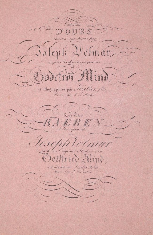 Große Abbildung Nr.21: 142-3943 Mind, Gottfried: (Künstlergraphik)