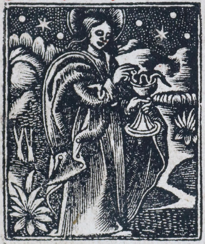 Große Abbildung Nr.1: 142-396 Stundenbuch.: (Alte Drucke, Handschriften und Theologie)