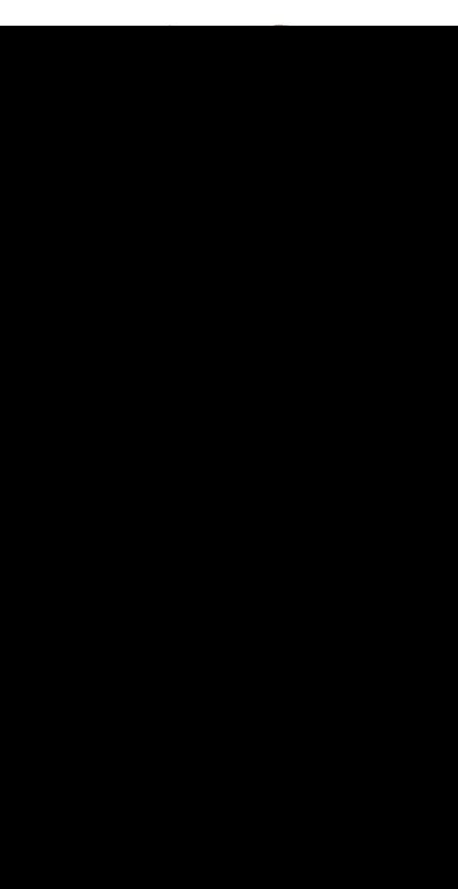 Große Abbildung Nr.3: 142-40 Biblia germanica.: (Bibeln)