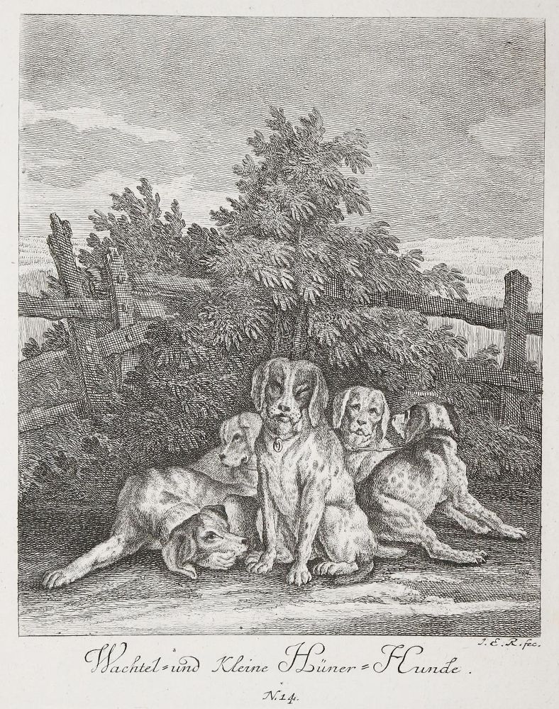 Große Abbildung Nr.1: 142-4105 Ridinger, Johann Elias: (Künstlergraphik)