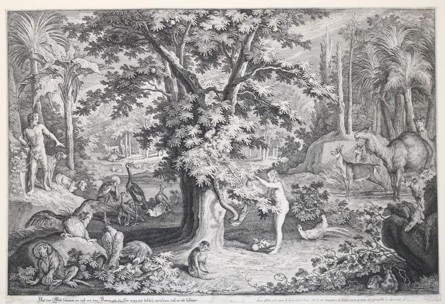 Große Abbildung Nr.1: 142-4106 Ridinger, Johann Elias: (Künstlergraphik)