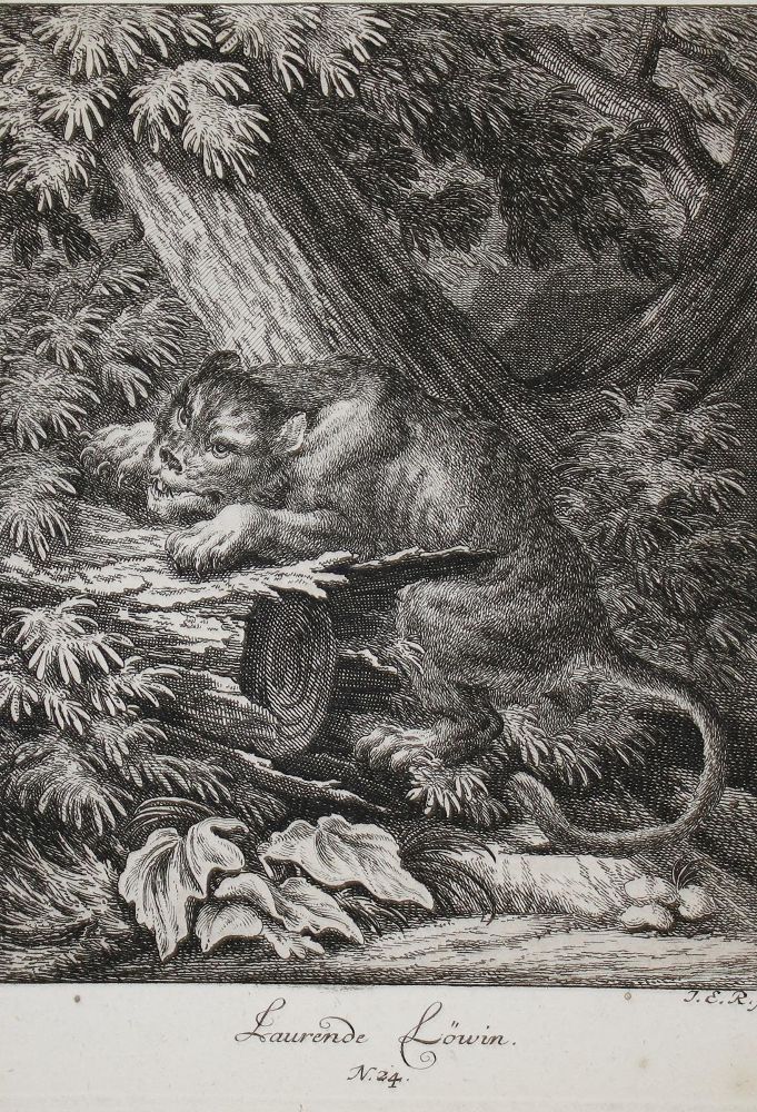Große Abbildung Nr.1: 142-4107 Tiere.: (Künstlergraphik, Ridinger)