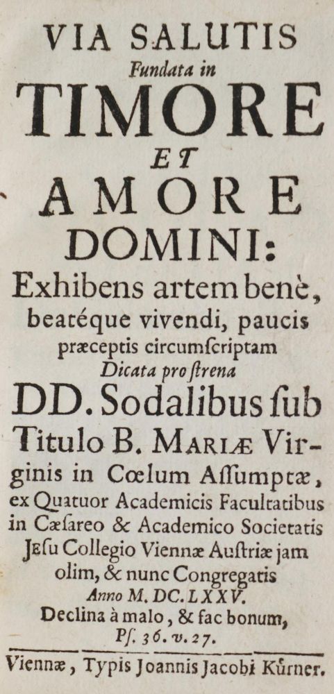 Große Abbildung Nr.1: 142-419 Via salutis fundata: (Alte Drucke, Handschriften und Theologie)