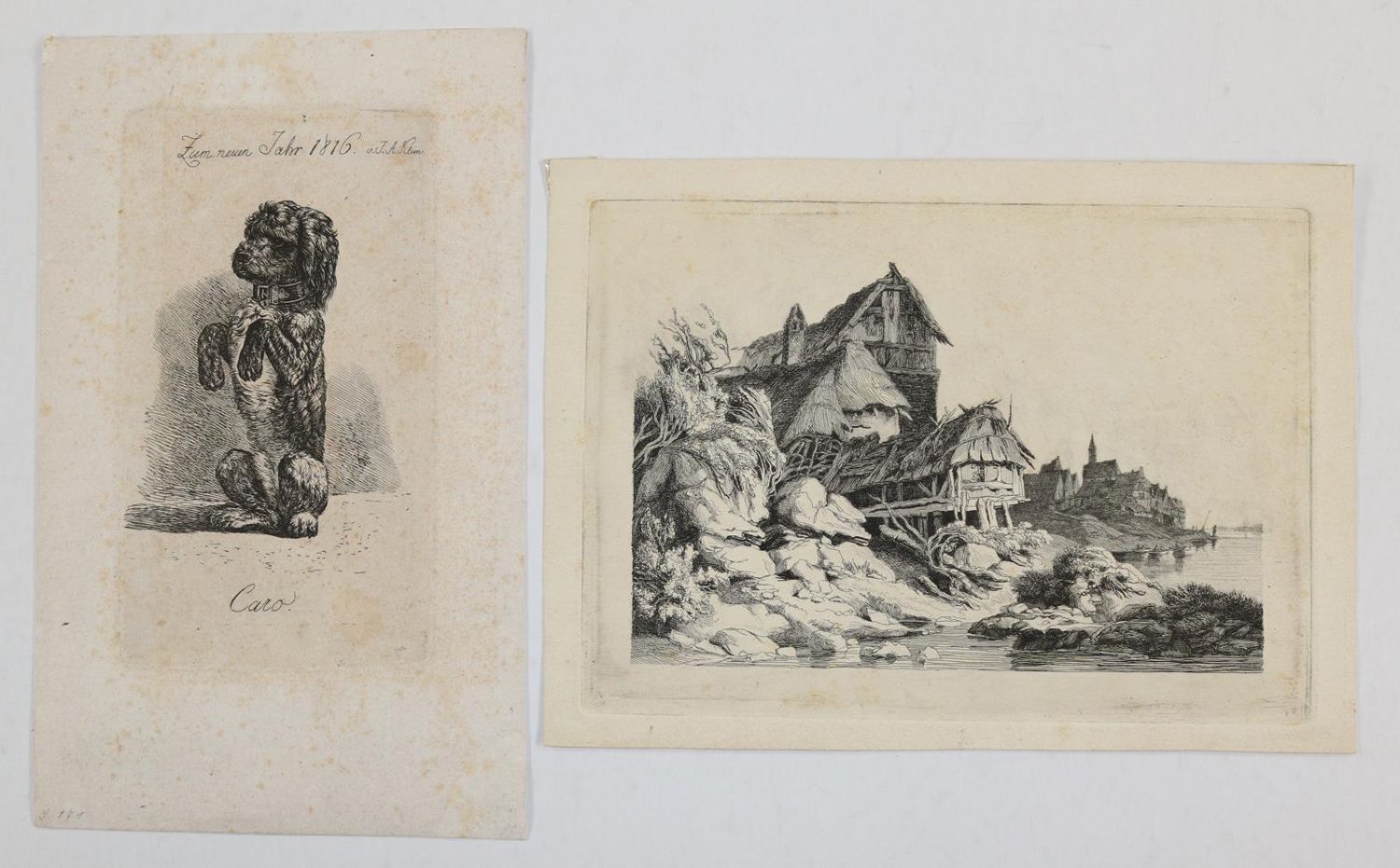 Große Abbildung Nr.12: 142-4239 Tiere und Landschaften.: (Künstlergraphik)