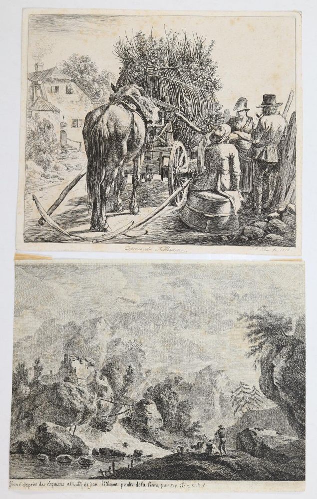 Große Abbildung Nr.13: 142-4239 Tiere und Landschaften.: (Künstlergraphik)
