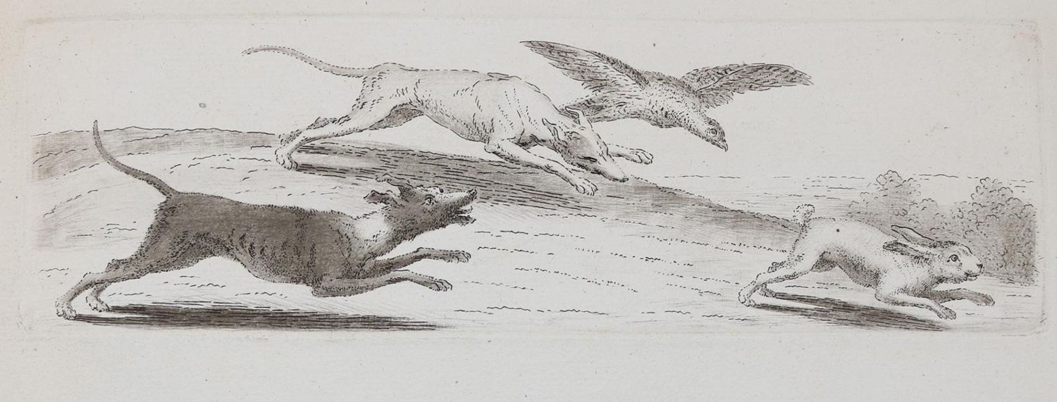 Große Abbildung Nr.411: 142-4240 Tischbein, Johann Heinrich: (Künstlergraphik)