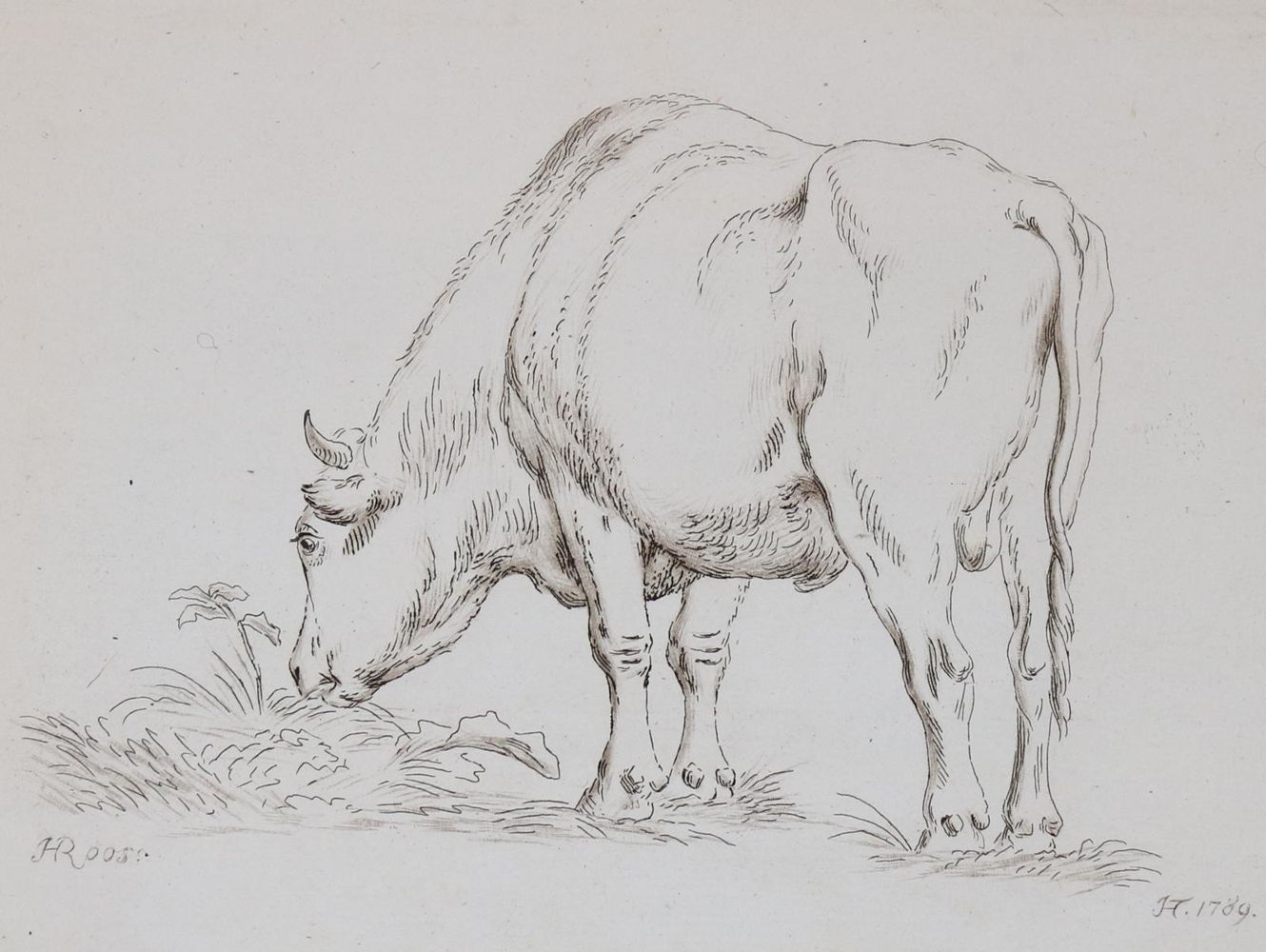 Große Abbildung Nr.412: 142-4240 Tischbein, Johann Heinrich: (Künstlergraphik)