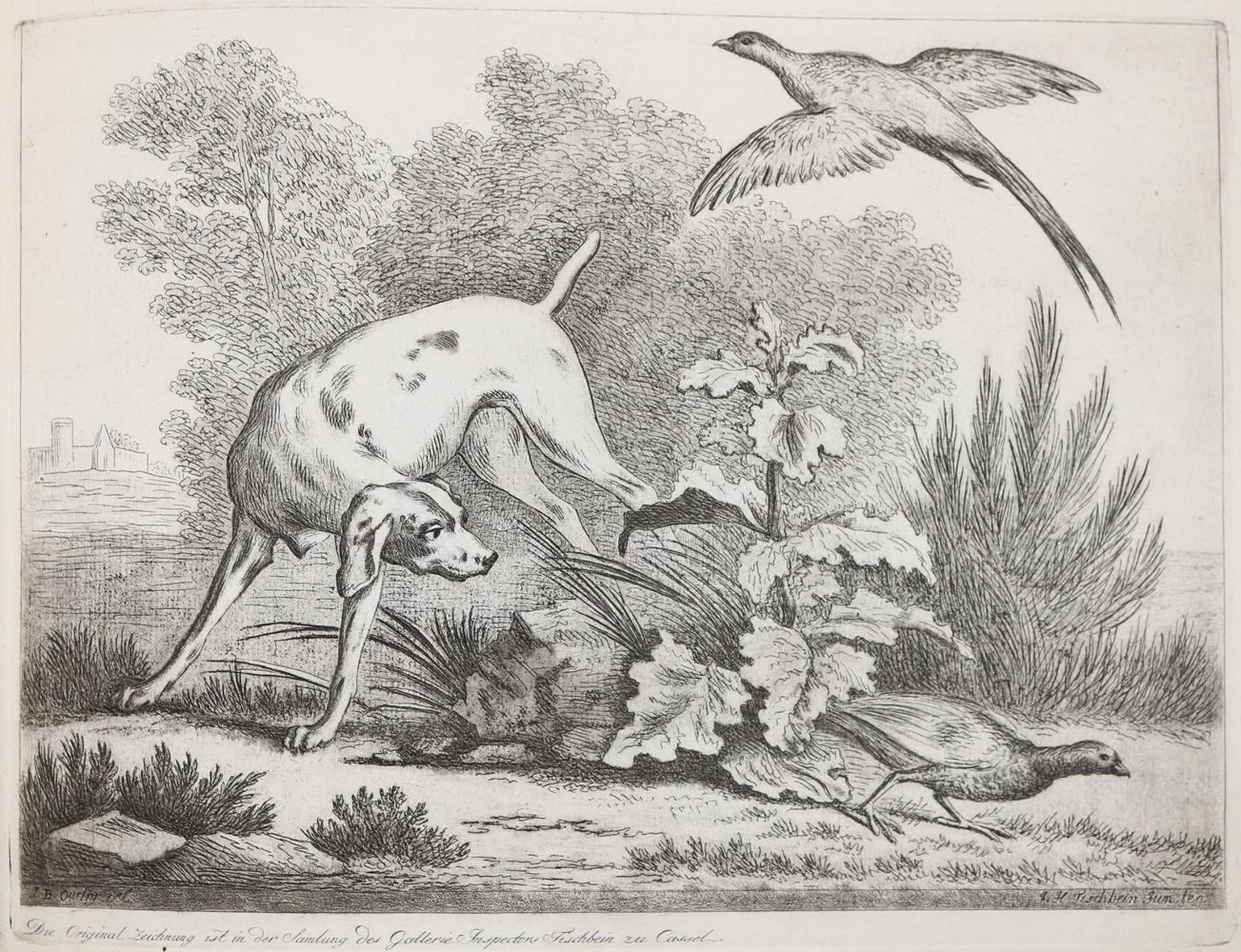 Große Abbildung Nr.418: 142-4240 Tischbein, Johann Heinrich: (Künstlergraphik)