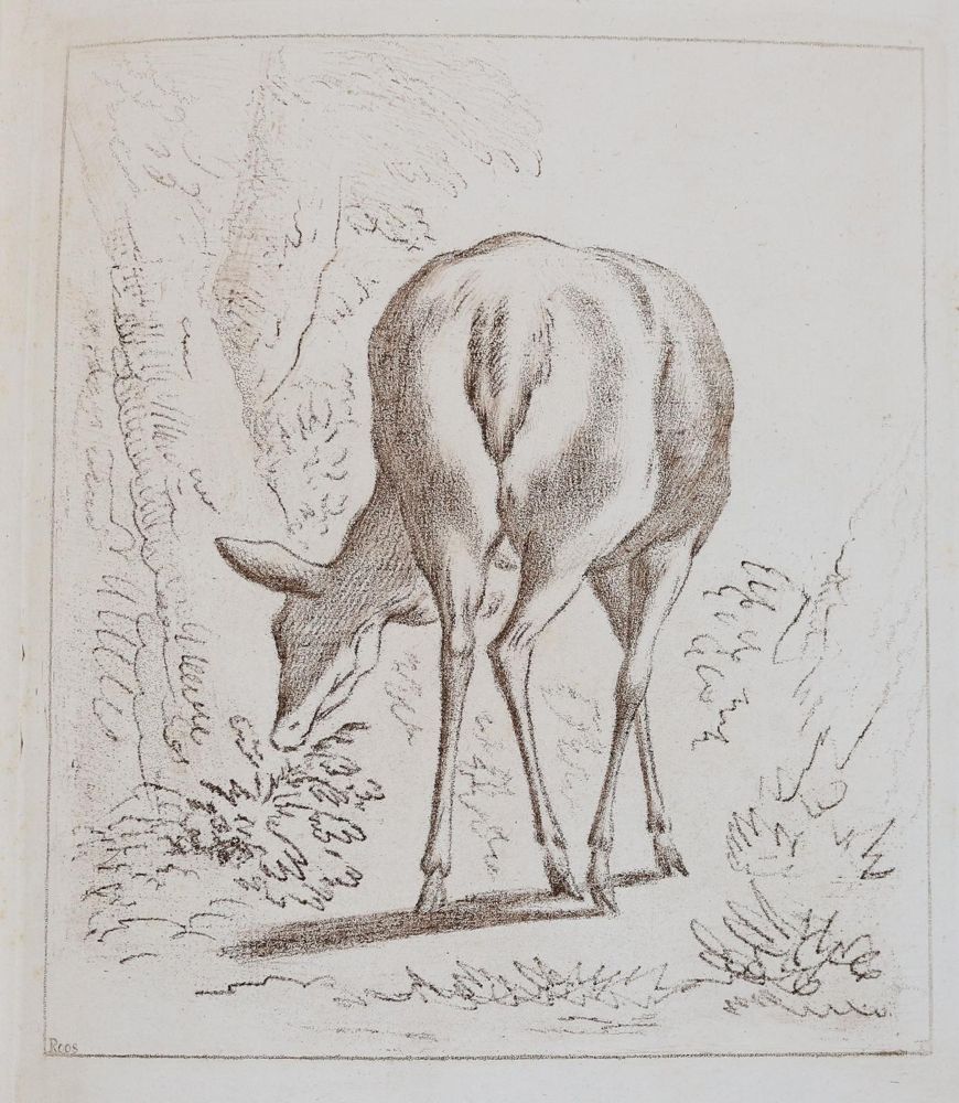 Große Abbildung Nr.43: 142-4240 Tischbein, Johann Heinrich: (Künstlergraphik)