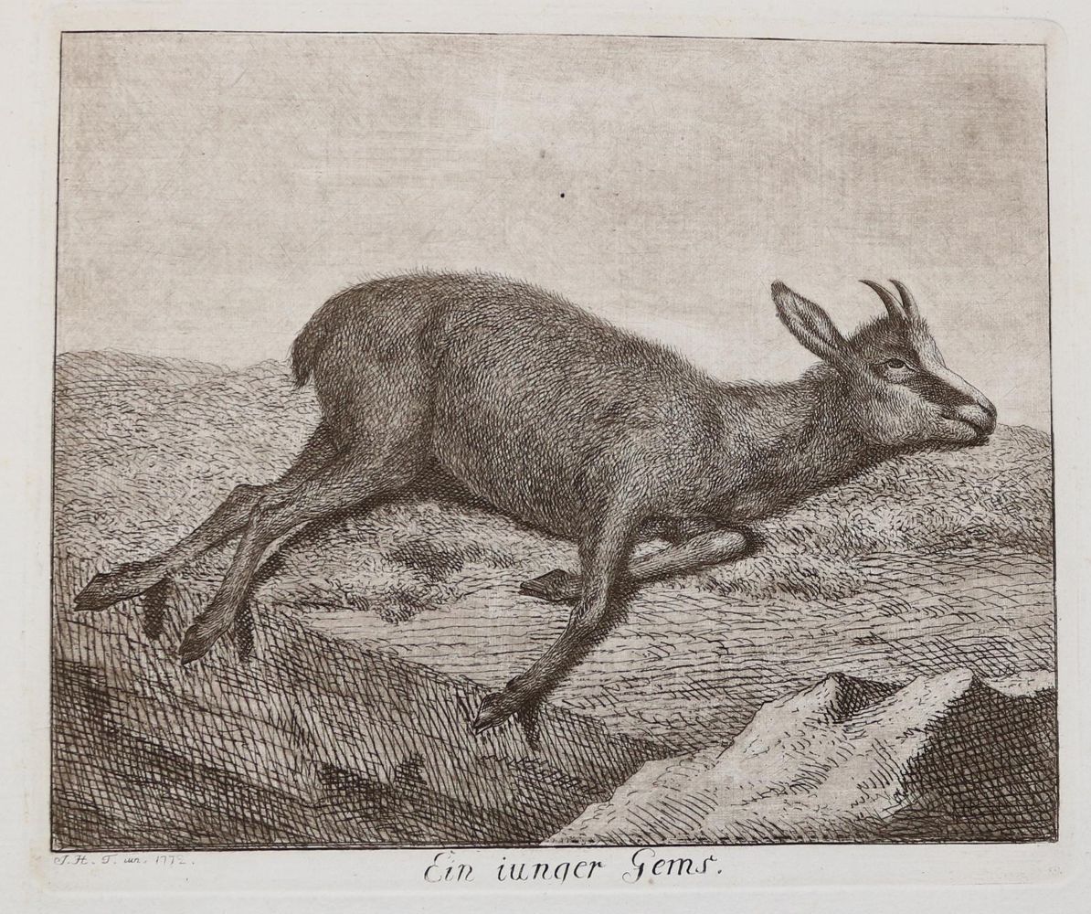 Große Abbildung Nr.49: 142-4240 Tischbein, Johann Heinrich: (Künstlergraphik)