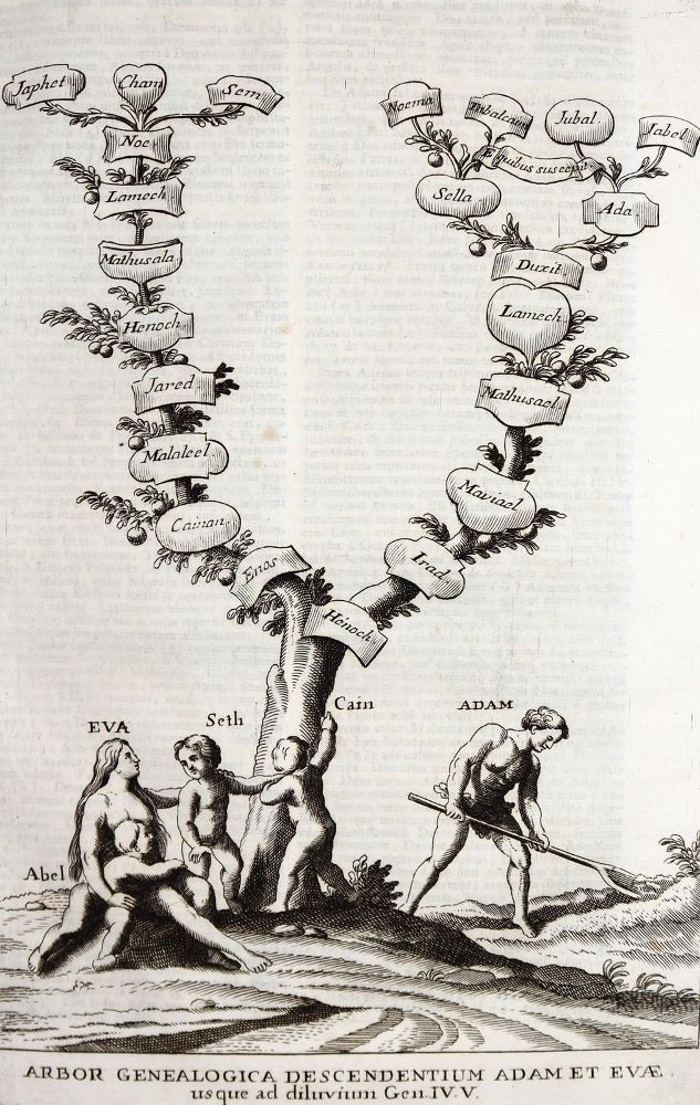 Große Abbildung Nr.4: 142-51 Calmet,A.: (Bibeln)