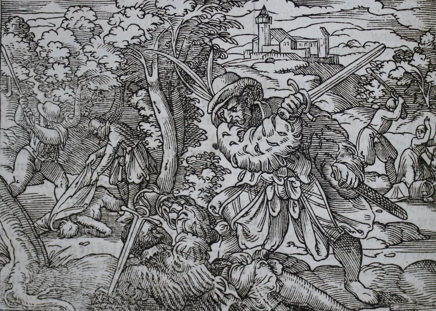 Große Abbildung Nr.2: 142-517 Damhouder,J.: (Juridica und Kriminologie)