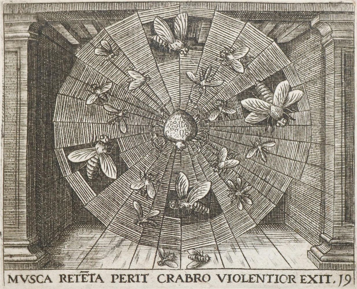 Große Abbildung Nr.3: 142-67 Bry,T.de.: (Alte Drucke, Handschriften und Theologie)