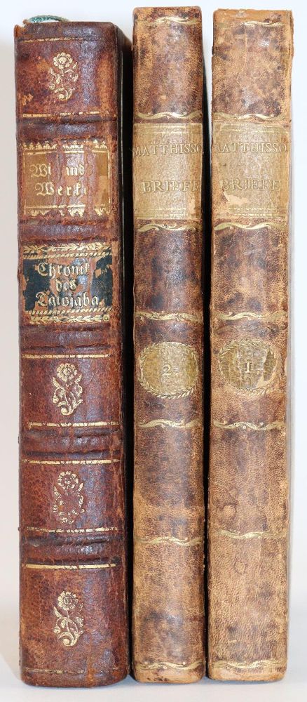 Große Abbildung Nr.4: 142-678 Matthisson,F.: (Jus der Bibliothek v. Prof. Thomas Würtenberger)