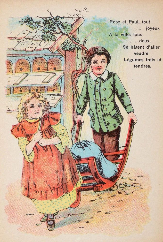 Große Abbildung Nr.3: 142-781 Konvolut: (Varia)