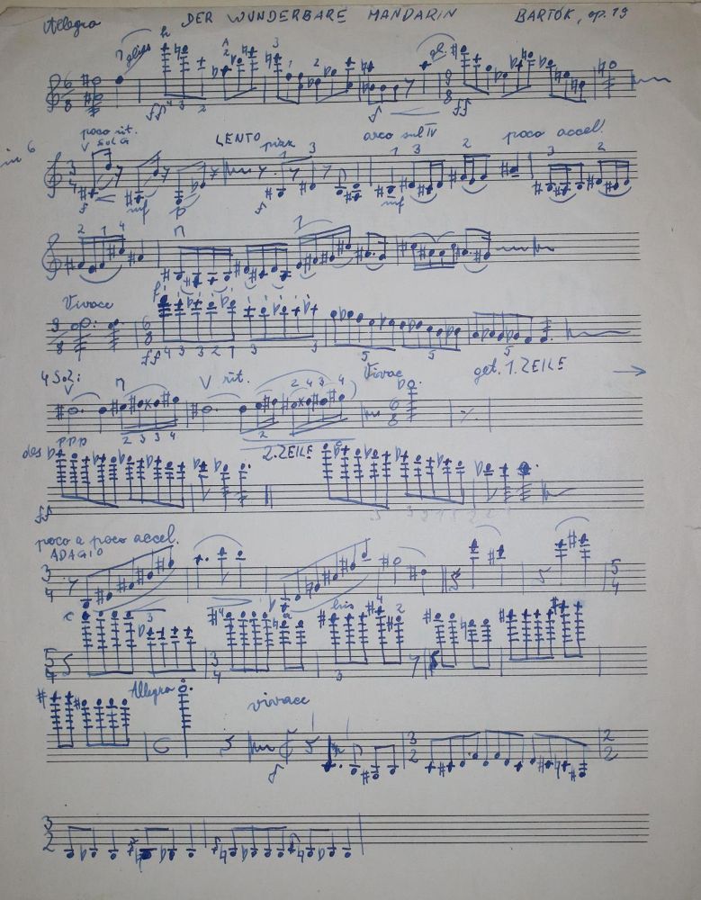 Große Abbildung Nr.2: 142-885 Schreinzer,K.: (Musik)