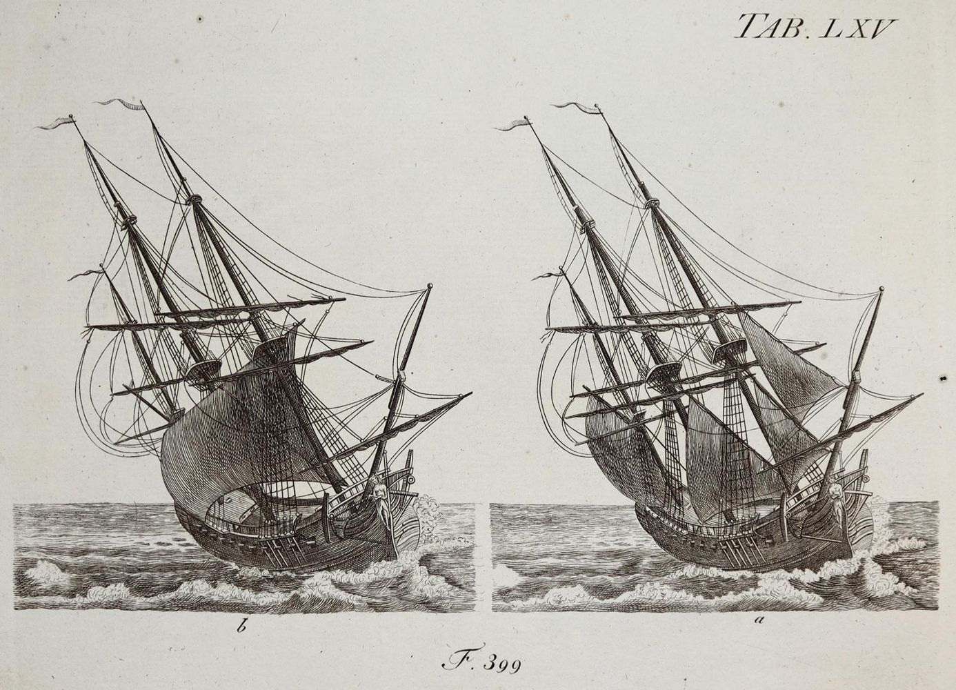Große Abbildung Nr.3: 142-930 Röding,J.H.: (Seewesen)