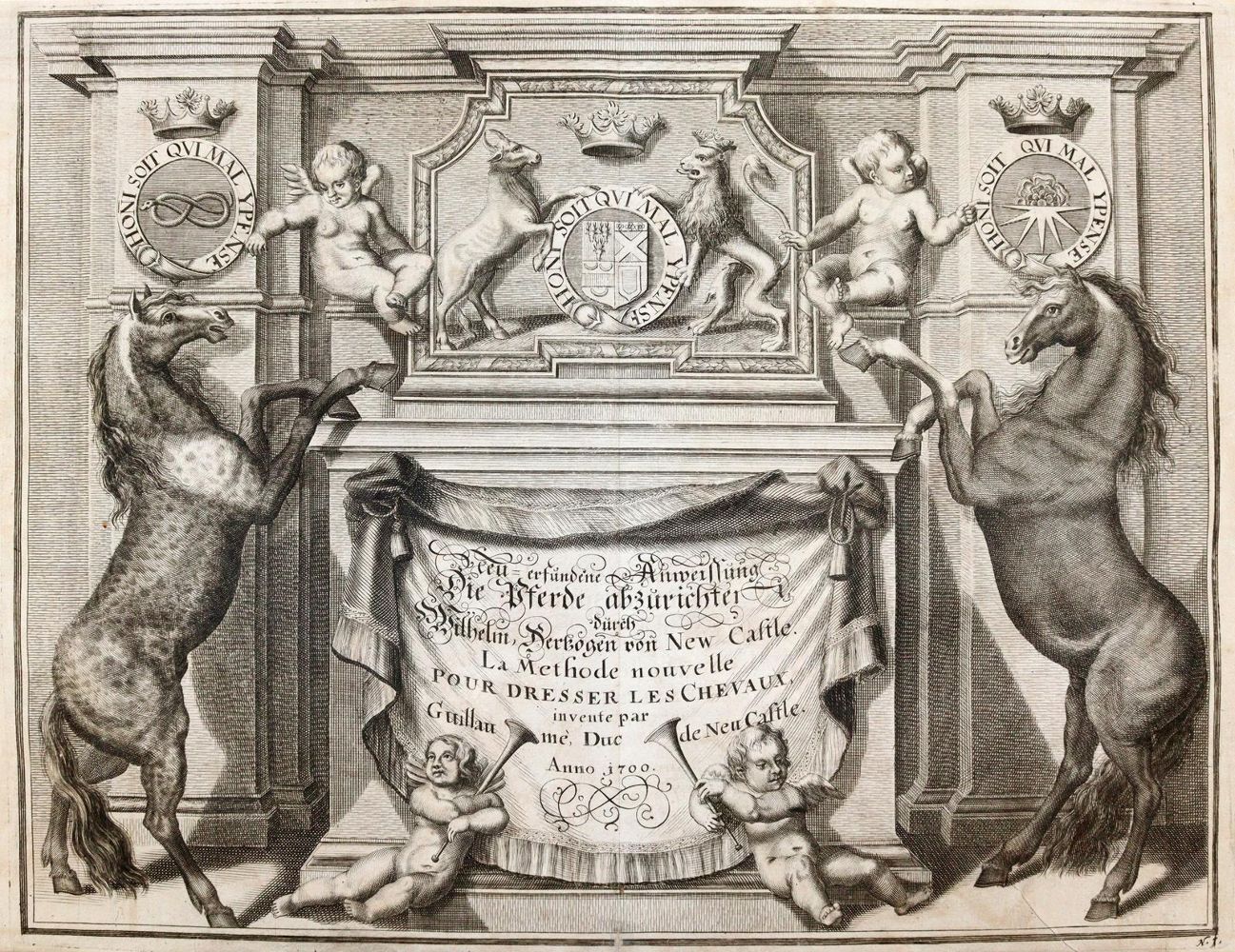 Große Abbildung Nr.1: 142-935 Pferde.: (Sport, Reitsport)