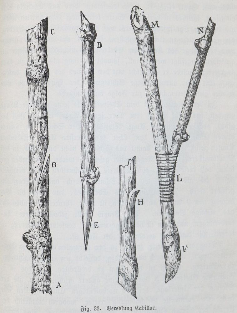 Große Abbildung Nr.1: 142-973 Sahut,F.: (Küche und Haushalt, Getränke, Wein und Weinbau)