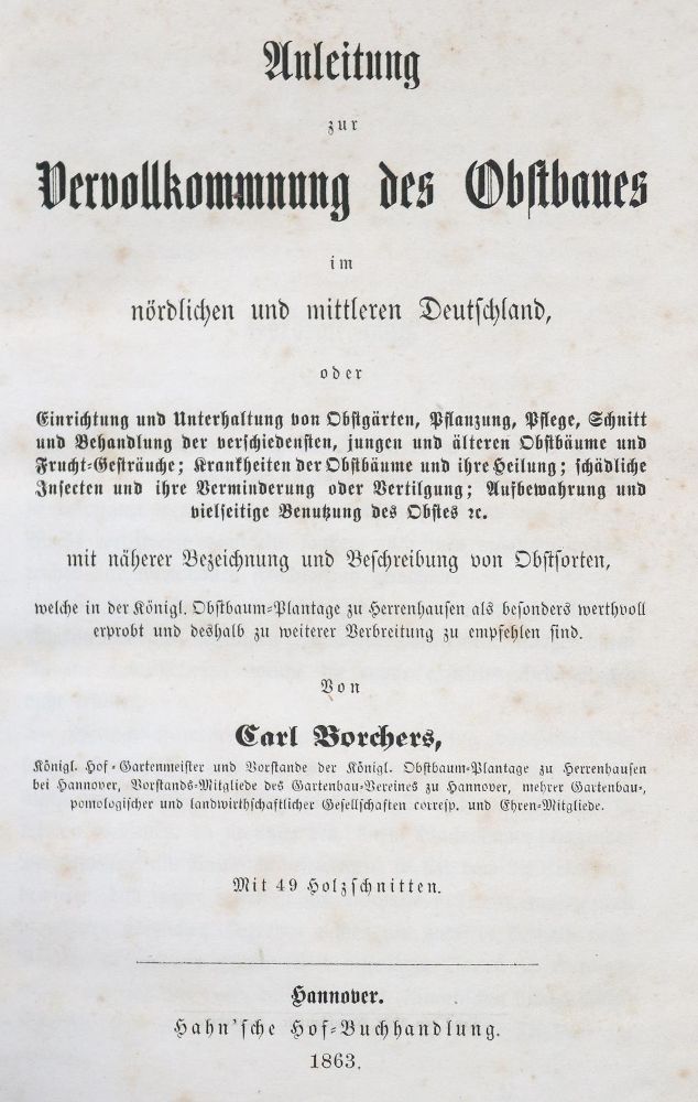 Große Abbildung Nr.1: 142-996 Borchers,C.: (Land- und Forstwirtschaft, Obstbau)
