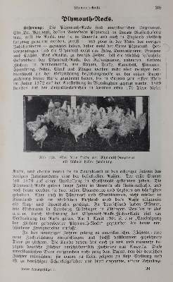Bild Nr.2: 142-1002 Wulf,A.: (Land- und Forstwirtschaft, Tierhaltung, Geflügel)