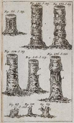 Bild Nr.4: 142-1005 Krünitz,J.G.: (Land- und Forstwirtschaft, Tierhaltung, Imkerei)