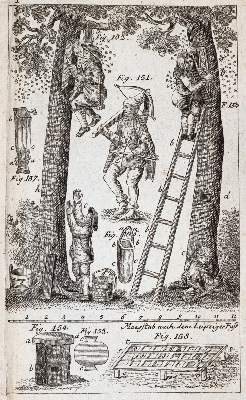 Bild Nr.5: 142-1005 Krünitz,J.G.: (Land- und Forstwirtschaft, Tierhaltung, Imkerei)