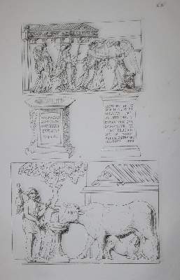 Bild Nr.3: 142-1015 Steinbüchel,A.v.: (Archäologie)