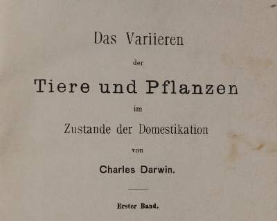 Bild Nr.1: 142-1033 Tacchi,A.: (Architektur)