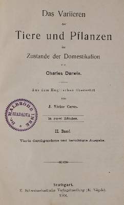Bild Nr.2: 142-1033 Tacchi,A.: (Architektur)