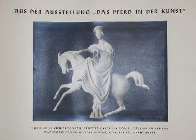 Bild Nr.3: 142-1082 Reinhard,M. (Hrsg.).: (Pferde)