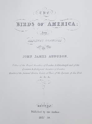 Bild Nr.11: 142-1133 Audubon,J.J.: (Faksimile)