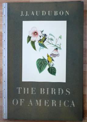 Bild Nr.12: 142-1133 Audubon,J.J.: (Faksimile)