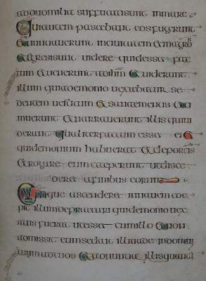 Bild Nr.3: 142-1146 Book of Kells.: (Faksimile)