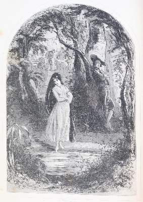 Bild Nr.4: 142-1517 Sammlung: (Literatur und illustrierte Bücher bis 19.Jahrhundert)