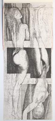 Bild Nr.1: 142-1636 Weis,H.: (Fuchs)