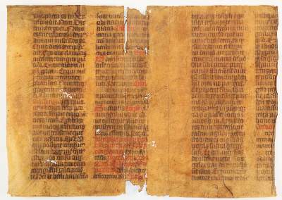 Bild Nr.2: 142-168 Fragment.: (Handschriften)