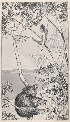 Bild Nr.1: 142-1708 Klinger,M.: (Literatur und illustrierte Bücher 20.Jahrhundert - Alte Literatur in modernen Ausgaben)